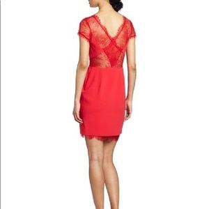 BCBGMAXAZRIA Nel lace cocktail dress - sz 4